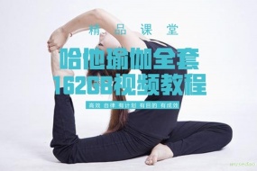 哈他瑜伽全套视频教程,多位导师,内容丰富