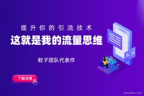 蚊子团队流量思维:助你提升引流技术